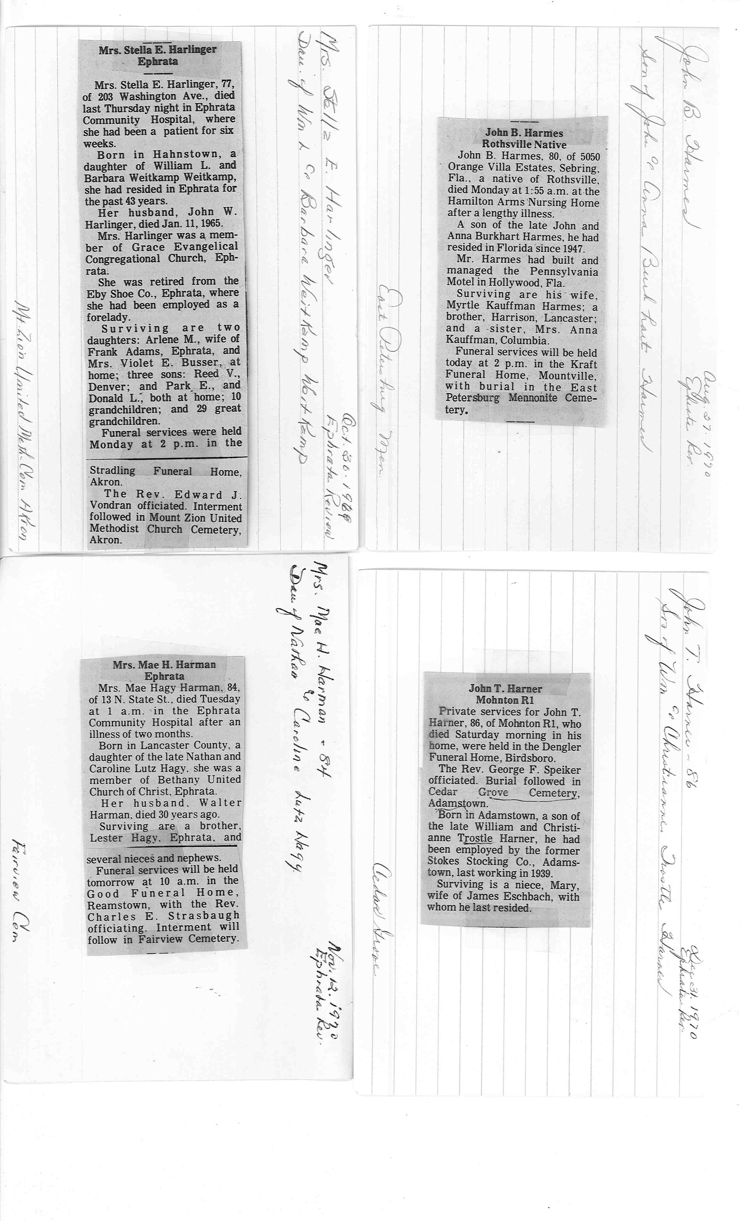 Image 4